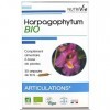 Nutrivie Harpagophytum Bio 20 Ampoules