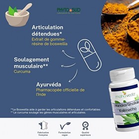 Curcuma Poivre Noir et Boswellia pour les Articulations et Muscles - Curcuma Piperine Gelules - Haridra Shallaki Kallimircha 