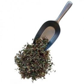 Tisane Trèfle rouge fleur trifolium pratense - 250 g