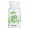 Ginkgo Biloba 6000 mg 90 comprimés CANAMIO Fonction cérébrale et santé cognitive