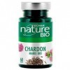 Boutique Nature - Complément Alimentaire - Chardon Marie BIO - 60 Gélules Végétales -Bien Etre digestif, Tonus du foie