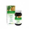 ANANAS Ananas comosus NATURALMA | 2500 GDU/g Broméline | 120 comprimés de 500mg | Complément alimentaire d’extrait titré et