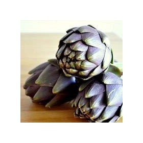 Artichaut Violet de Provence - Cynara scolimus lot de 3 pieds 
