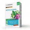 Arkopharma Arkofluides Confort Articulaire Bio 20 Ampoules