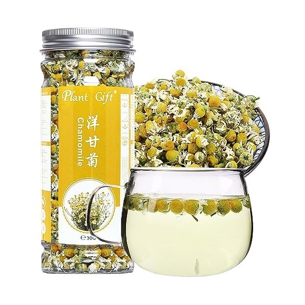 Plant Gift 100% Pure Chamomile Tea , 洋甘菊 Thé de camomille, fabriquer des sacs à thé à lacné, la feuille de thé de camomille,