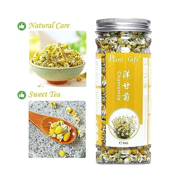 Plant Gift 100% Pure Chamomile Tea , 洋甘菊 Thé de camomille, fabriquer des sacs à thé à lacné, la feuille de thé de camomille,