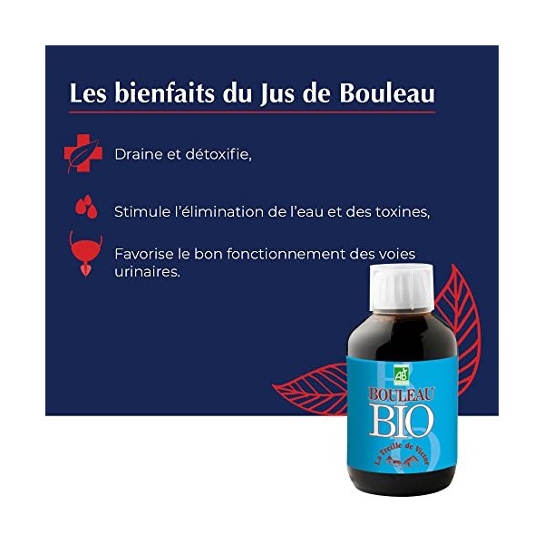 La Treille de Victor - JUS DE BOULEAU - Draineur - Bouteille de 250 ml