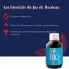 La Treille de Victor - JUS DE BOULEAU - Draineur - Bouteille de 250 ml