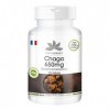 Chaga 650 mg - 100 gélules de poudre de champignons vitaux - Chaga ardoisé - hautement dosé - végétalien | Herba Direkt