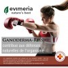 Supplément Evimeria Reishi - Ganoderma Lucidum | Avec de la vitamine C | Défenses immunitaires naturelles | Pas dOGM | Quali