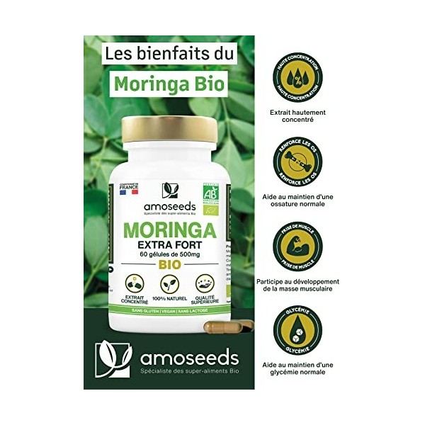 Moringa Bio Haute Concentration | 60 gélules de 500mg | Anti-fatigue, Immunité, Belle Peau, Détox | Qualité Supérieure