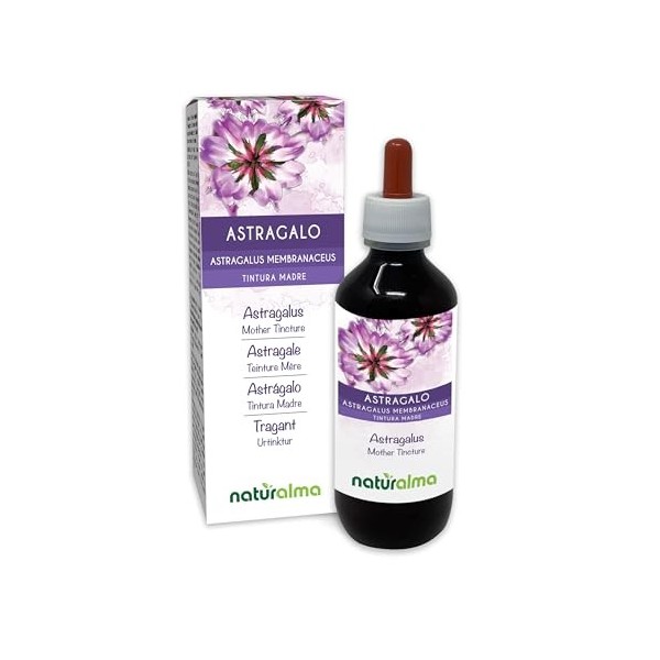 Astragale Astragalus membranaceus racines Teinture Mère sans alcool Naturalma | Liquide en gouttes 120 ml | Complément alim