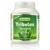 Greenfood Tribulus, 1000 mg, extrait à dose élevée, 100 comprimés. Sans additifs artificiels. Sans génie génétique. Vegan.