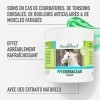Kräuterhof® Baume cheval Duo Set rafraîchissant 2 x 500ml - gel de massage rafraîchissant pour les muscles & articulations 