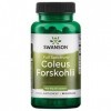 Swanson, Full Spectrum Coleus Forskohlii Forskoline , Haute Dosé, 60 Capsules, Testé en Laboratoire, Sans Soja, Sans Gluten,