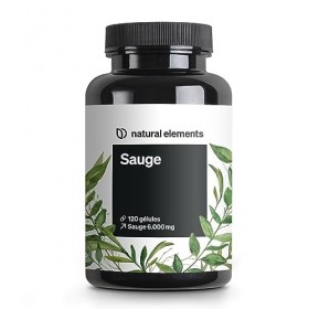 Sauge – 120 gélules – 6 000 mg de sauge par dose journalière – extrait de sauge 10:1 – végane, hautement dosé, sans additifs 