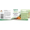 Fairvital | Extrait dArgousier 500mg - Hautement dosé - VEGAN - Hippophae rhamnoides - 90 gélules