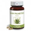 Laboratoires Ilapharm - SAW PALMETTO - Mieux vider sa vessie - Flacon de 60 gelules Bio