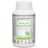 Achillée Millefeuille Labofloral 150 gélules dosées à 200 mg - Complément alimentaire - Digestion, respiration - Fabriqué en 