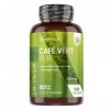 Café Vert Pur Extra Fort - 21 000 mg/Jour - 90 Gélules Vegan 1 Mois de Caféine Pure - Source dAcide Chlorogénique, Vitamin