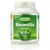 Greenfood Boswellia Encens, 400 mg, dose élevée, 120 gélules - Sans additifs artificiels. Sans génie génétique. Vegan.