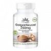 Racine de galanga 250 mg - 400 comprimés pour 200 jours - qualité pharmacie allemande - gingembre thaï - fortement dosé - vég
