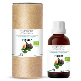 Gemmothérapie FIGUIER- Ficus carica BIO 