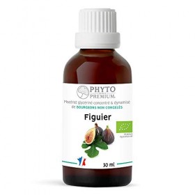 Gemmothérapie FIGUIER- Ficus carica BIO 