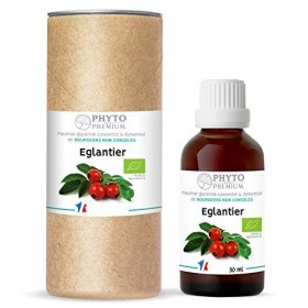 Gemmothérapie ÉGLANTIER - Rosa canina BIO 