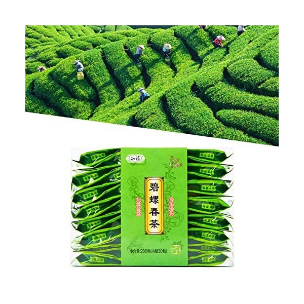 Thé vert, soupe jaune Thé vert chinois Méthode ancienne Réfrigération Parfum fort pour le ménage pour le thé du matin