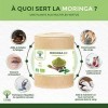 Moringa Bio - Bioptimal - Complément alimentaire - Poudre de Moringa Oleifera Pur - Antioxydant Immunité Anti-Fatigue Vitamin