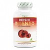 Champignon Reishi - 180 capsules - 1300 mg dextrait par dose quotidienne - 40% de polysaccharides bioactifs - Vegan - Power 