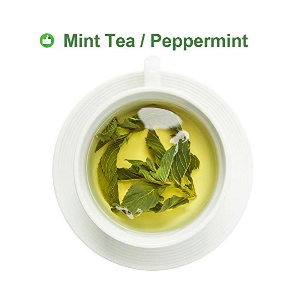 Plant Gift 100% Peppermint Tea, Thé à la Menthe poivrée, Mint Tea Congé à la menthe poivrée, Thé santé, Sachets de thé à 