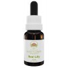 Australian Bush Flower Essences Red Lily 15 ml