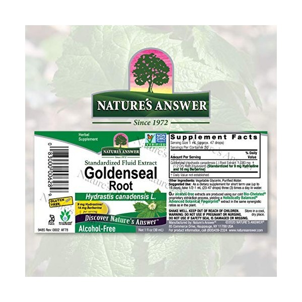 Natures Answer Goldenseal Root Alcohol Free - 1 fl oz