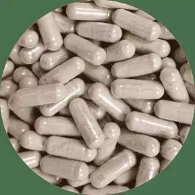 Laboratoire Floralpina - Valériane extrait bio 120 gélules - Apaisante et relaxante la valériane favorise la détente - favori