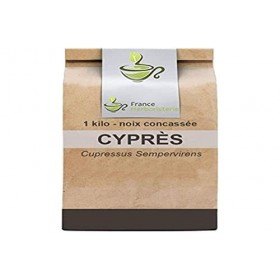 Tisane Cyprès Noix concassée 1 KILO Cupressus sempervirens