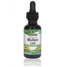 Natures Answer, Mullein Leaf Extract Extrait de Molène , 2000mg, 30ml, Sans Alcool, Testé en Laboratoire, Sans Gluten, Sans
