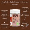 myVeggie - Reishi Bio - Renforce Système Immunitaire, Vitalité, Immunité, Détente, Antioxydant - Extraits De Plantes, Vitamin