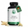 Panax Ginseng Rouge - 120 Gélules á 6000 mg - Extrait de Qualité avec 20% de Ginsénosides - Le Seul Sans Additifs - Énergie +