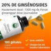 Panax Ginseng Rouge - 120 Gélules á 6000 mg - Extrait de Qualité avec 20% de Ginsénosides - Le Seul Sans Additifs - Énergie +