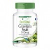 Fairvital | Extrait de Fruit de Graviola 500mg - boite pour 4 mois - Fortement dosé - 120 Gélules