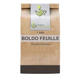 Tisane Boldo feuille 1 KILO Peumus boldus.