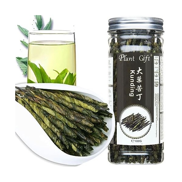 Plant Gift kuding Tea ilex latifolié / kuding cha Ku ding Cha Soin de la peau Chine Chine, Santé Naturelle, Perte de chal