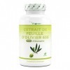 Extrait de feuilles dolivier - 180 gélules de 650 mg chacune - Extrait de feuilles dolivier avec 40% doleuropéine - 260 mg