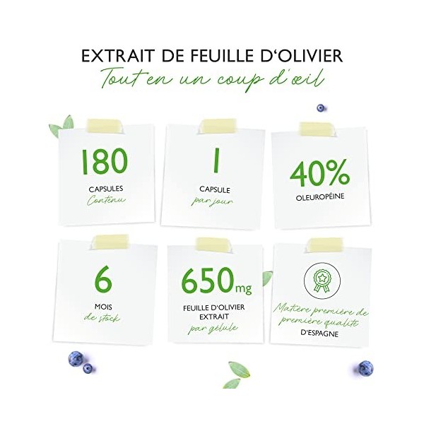 Extrait de feuilles dolivier - 180 gélules de 650 mg chacune - Extrait de feuilles dolivier avec 40% doleuropéine - 260 mg