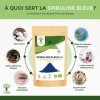 Spiruline Bleue Bio - Bioptimal - En Poudre - 55% Phycocyanine Blue 51% Protéines - Colorant Alimentaire Bleu Intense - Cuisi