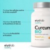 Curcuma BIO en Gélules pour Articulations | Sans Poivre Noir pour une Excellente Tolérance Digestive | 60 Gélules Vegan de 30