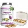 Chardon Marie Complexe Extrait – Artichaut Pissenlit – 80% de Silymarine – 240 gélules – 8 mois – 550 mg par capsule – Avec b
