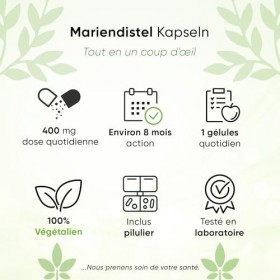 Chardon Marie Complexe Extrait – Artichaut Pissenlit – 80% de Silymarine – 240 gélules – 8 mois – 550 mg par capsule – Avec b